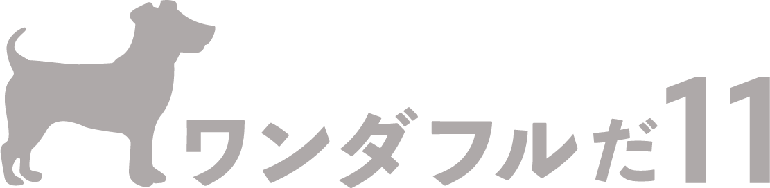 ワンダフルだワンワン