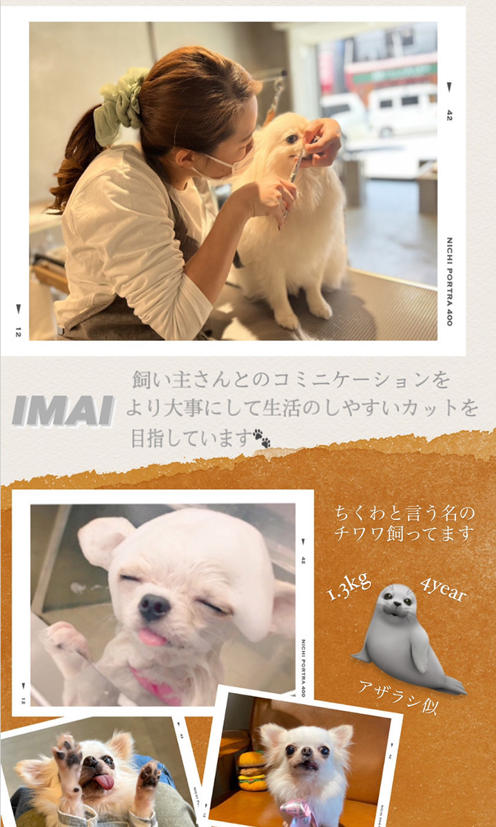 IMAI