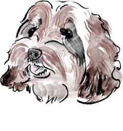 別邸.11